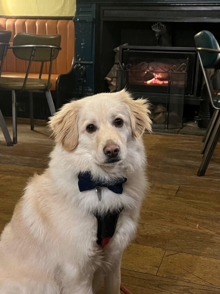 The best dog friendly pubs in the Peak District - The Maynard Grindleford