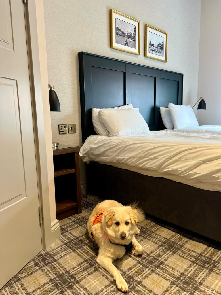 dog friendly stay at the Northallerton Inn