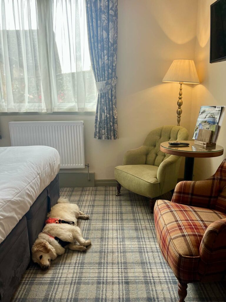 A dog friendly stay in the North York Moors at the black swan Helmsley