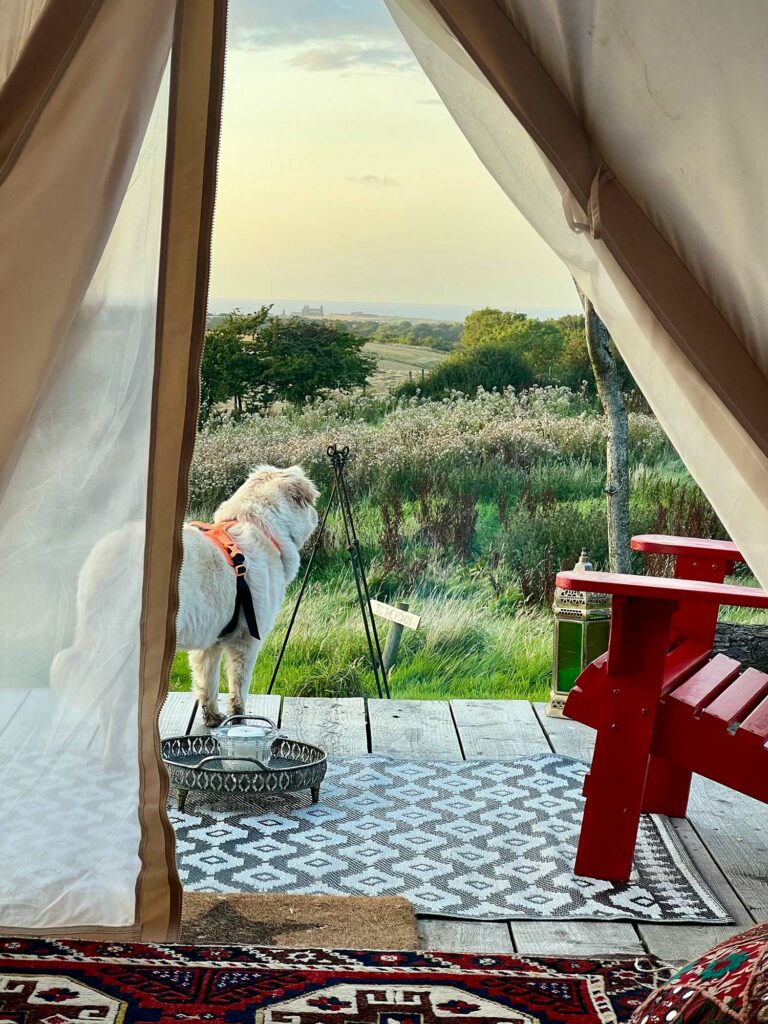 The best off grid glamping in Yorkshire at Coast and Camplight