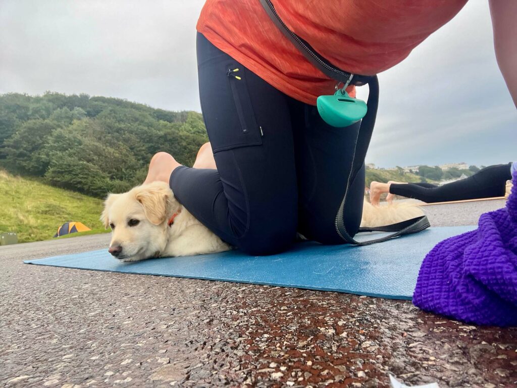a dog friendly stay in Scarborough - yoga by the sea
