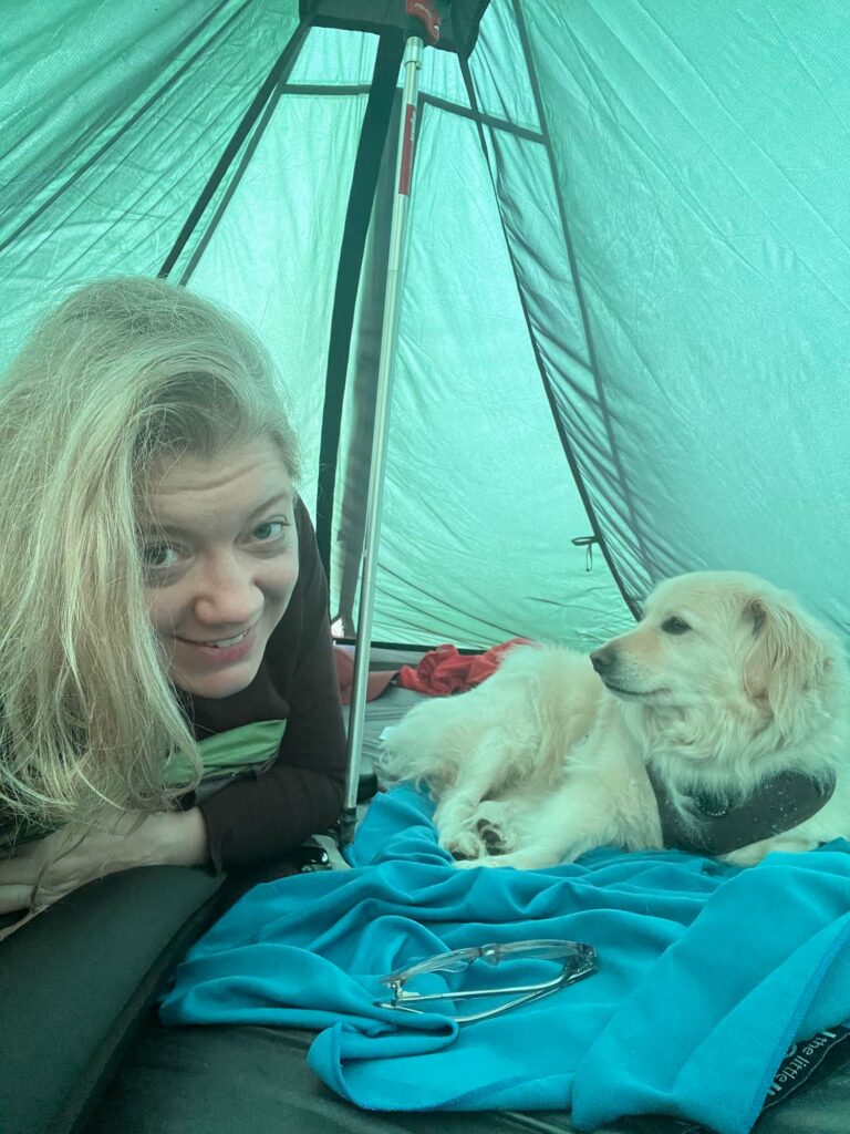 A guide to camping with your dog