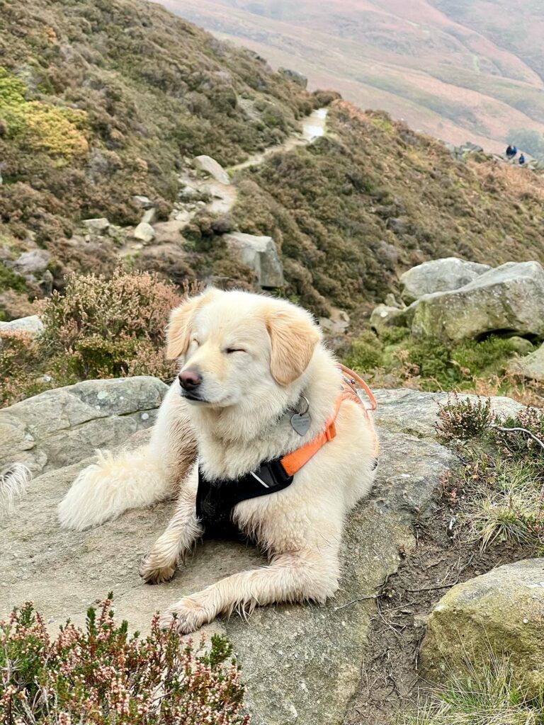 Walking up Kinder Scout - A Dog Friendly Stay In The Peak District At Bike & Boot