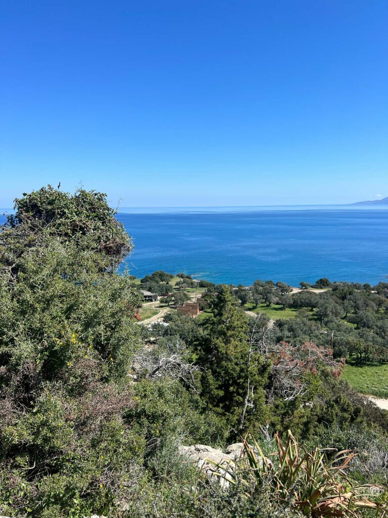 Best Hiking Near Paphos, Cyprus: Trails, Tips, and Local Eats