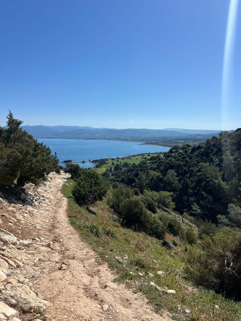 Best Hiking Near Paphos, Cyprus: Trails, Tips, and Local Eats