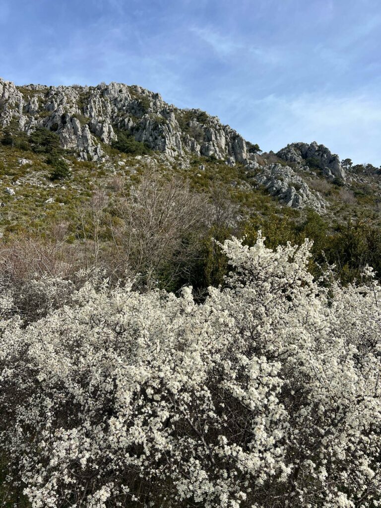 Hiking with Provençal Adventures: A Retreat for the Mind, Body, and Taste Buds