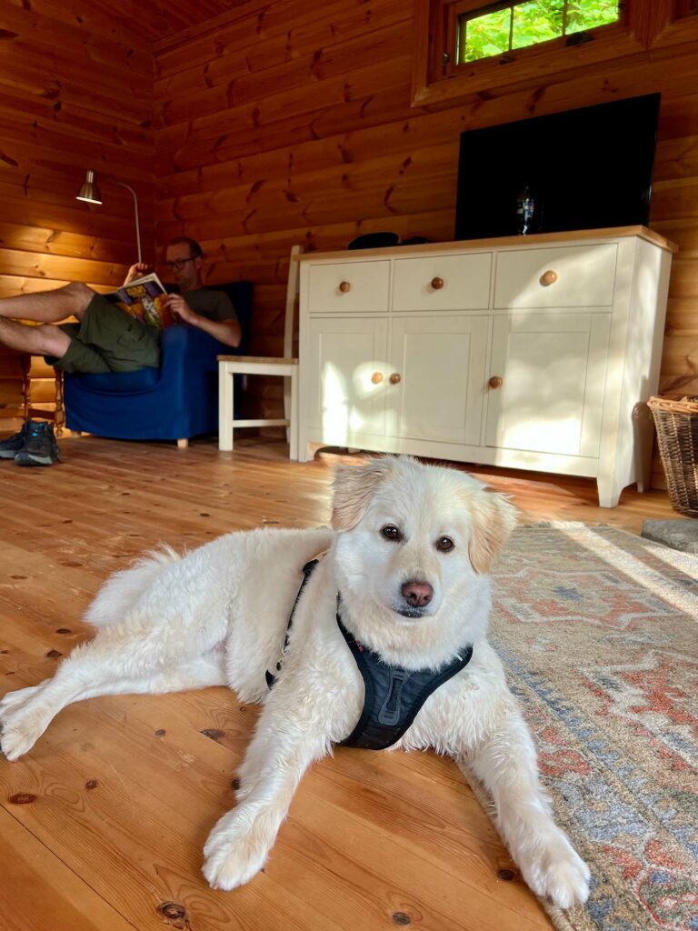 A unique cabin on the Pembrokeshire Coast - Y Berllan Hideaway