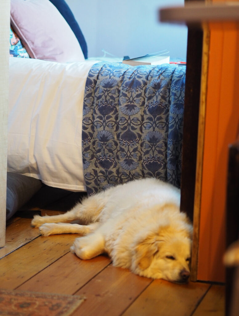 The best writing retreat at Starcroft Cabins