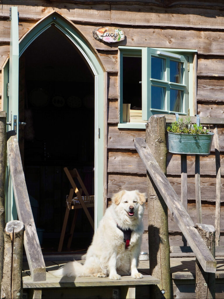 The best writing retreat at Starcroft Cabins