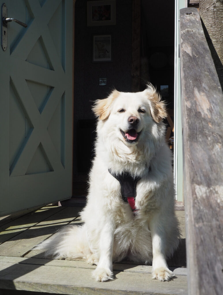 The best writing retreat at Starcroft Cabins