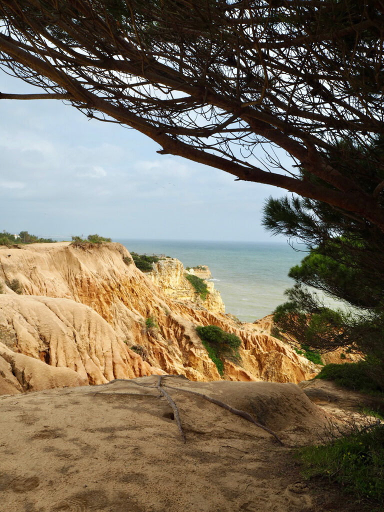 The Algarve Beyond the Beach: Cataplana, Cliffs and Island Lunches